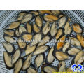 frozen half shell mussel